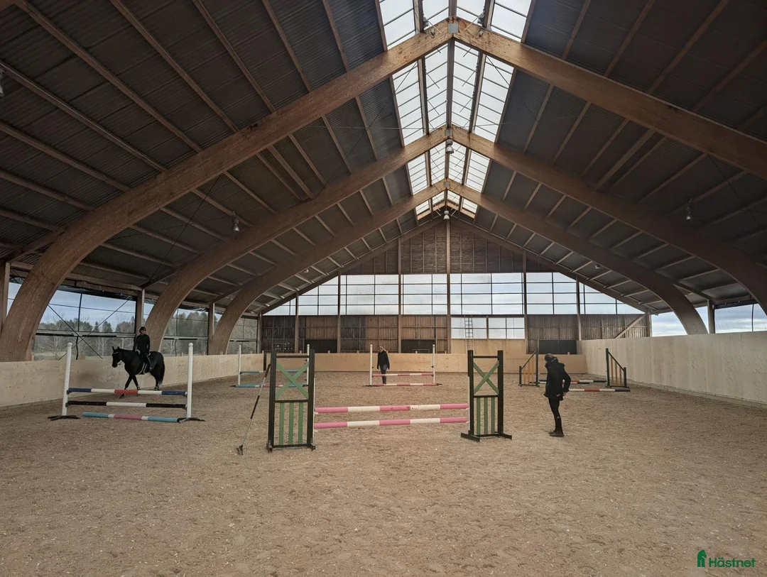  stallplats finnes: Boxplats för C-ponny fullservice - Annons 1