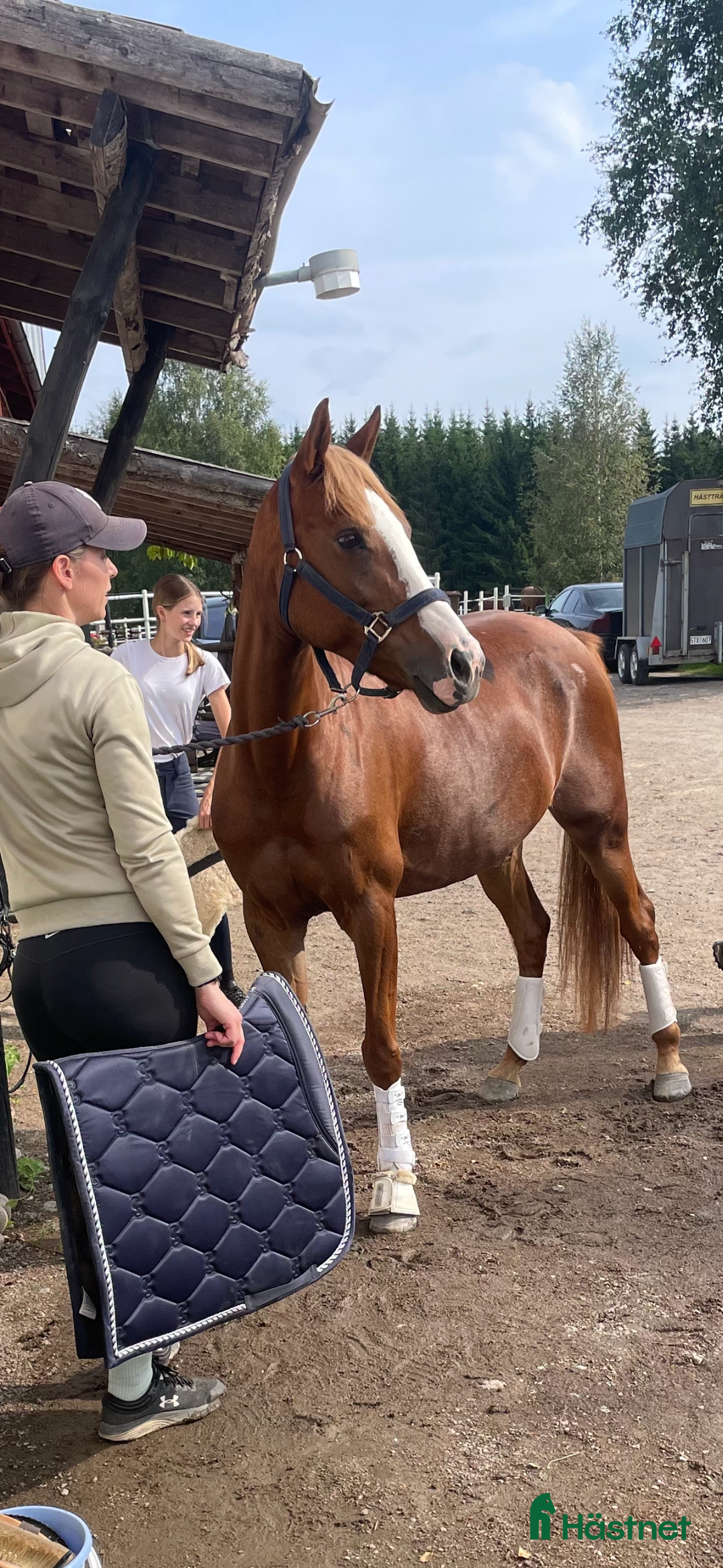 Dressyr hästar till salu: Otroligt fint D-ponnysto född 2011 i Sundborn - Annons 3