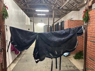 Täcken hästutrustning till salu: Rambo duo force i Täby - Annons 2