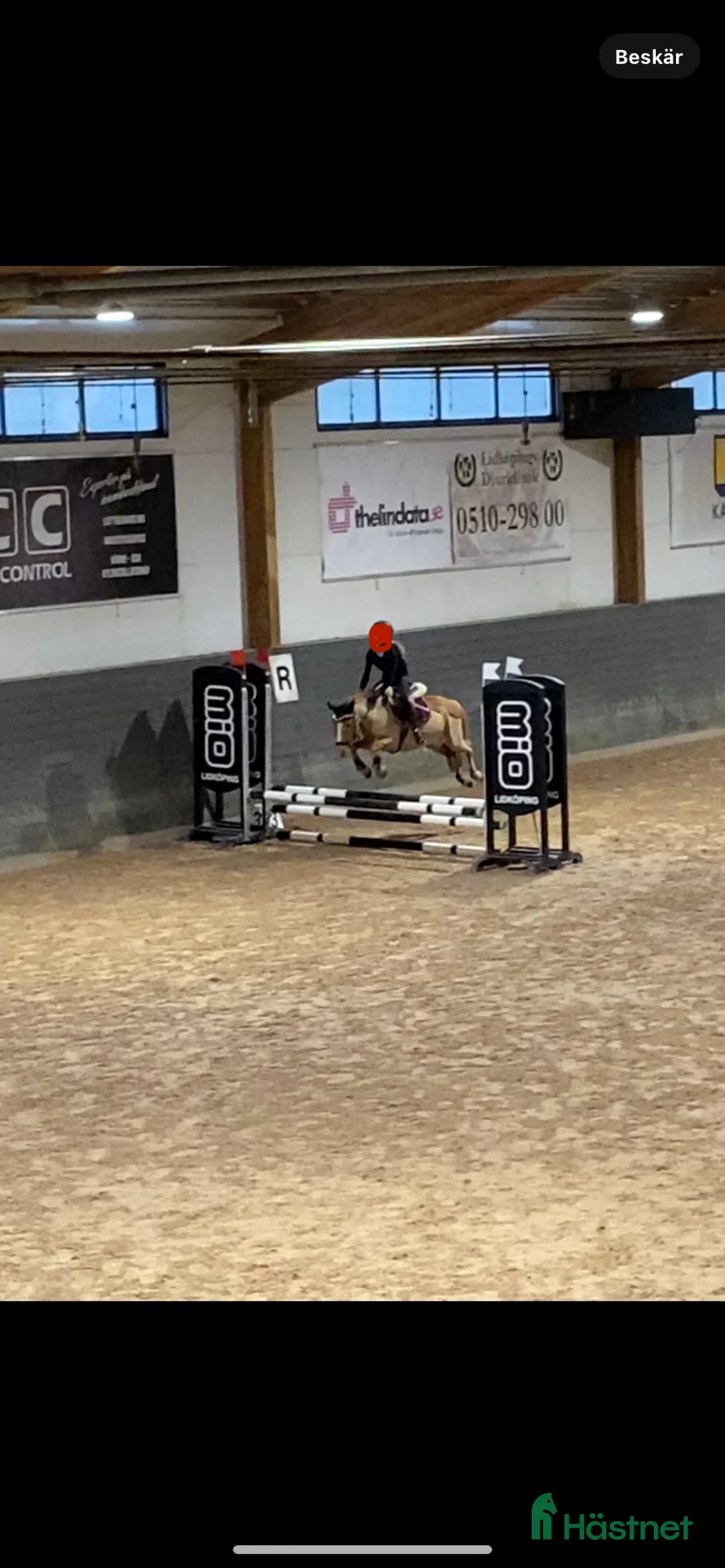  foderhäst finnes: Hel/halvfoderponny finnes i Lidköping - Annons 3