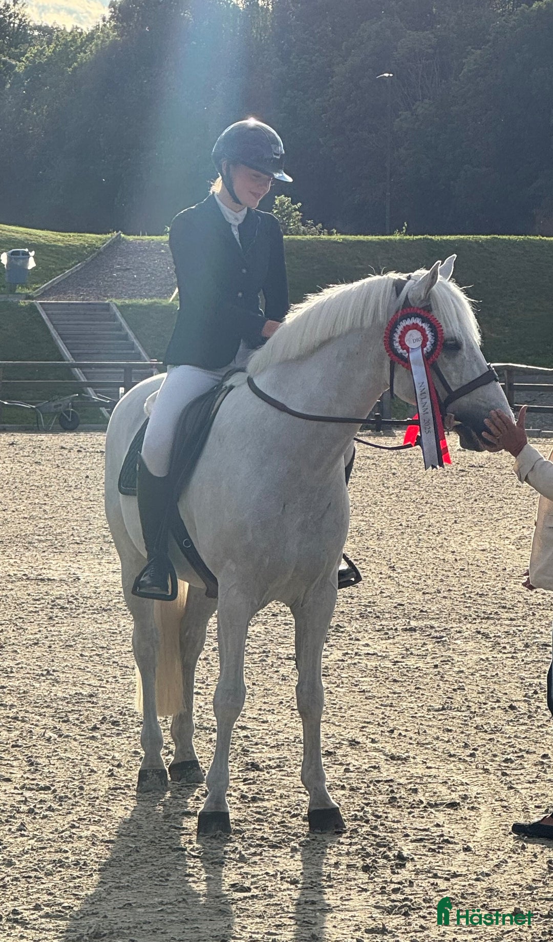 Hoppning hästar till salu: Topp kat.1 ponni til salgs i Bryne - Annons 13