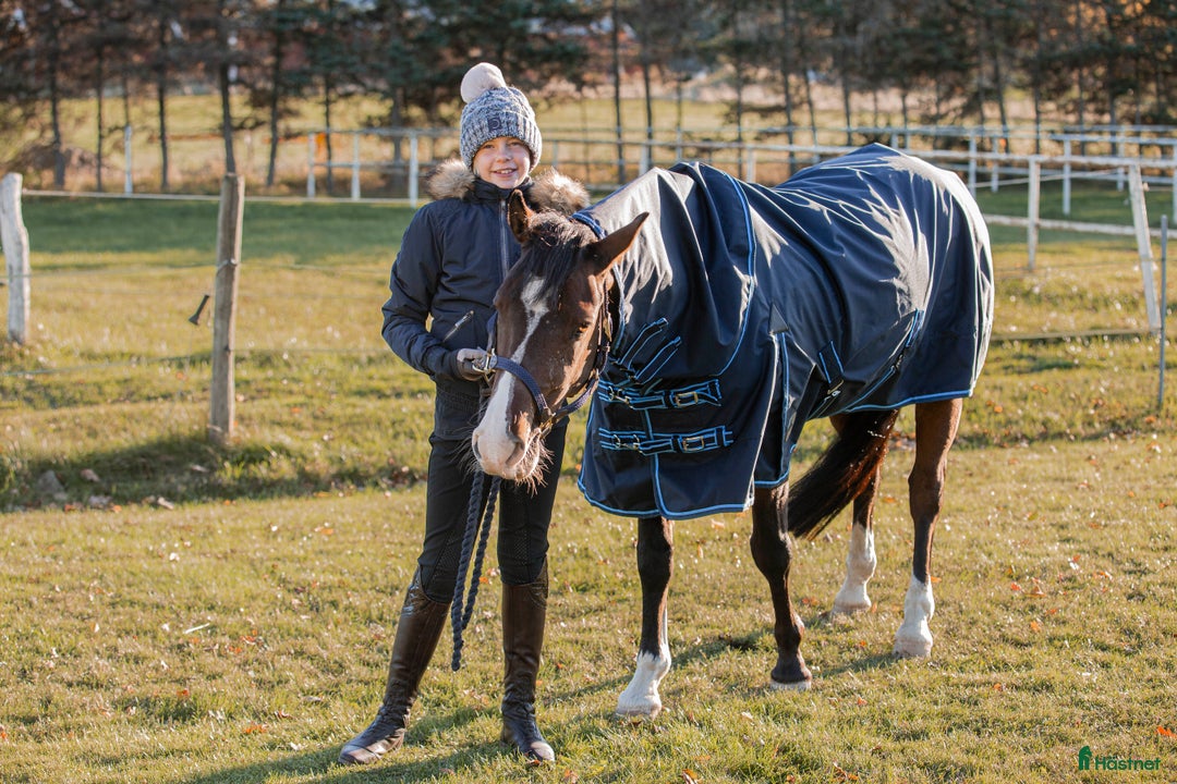  stallplats finnes: Boxplats m ridhus, två ridbanor och service Bålsta i Bålsta - Annons 9