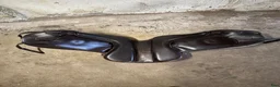 Sadlar hästutrustning till salu: Taur gaiter dressage v1 17” - Annons 7