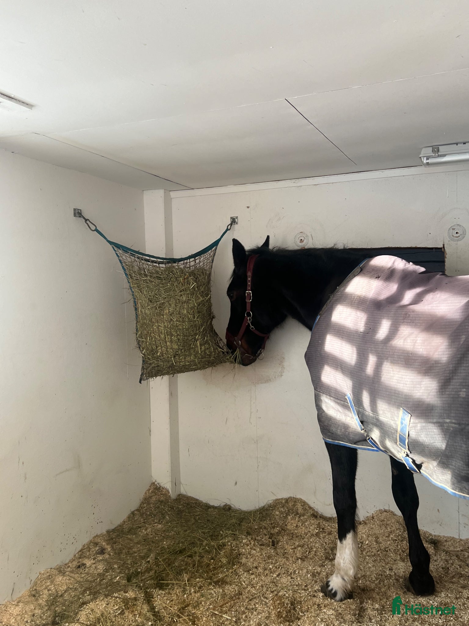  stallplats finnes: Stallplatser 3 st  - Annons 3