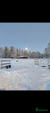 stallplats i Södertälje - Annons 8