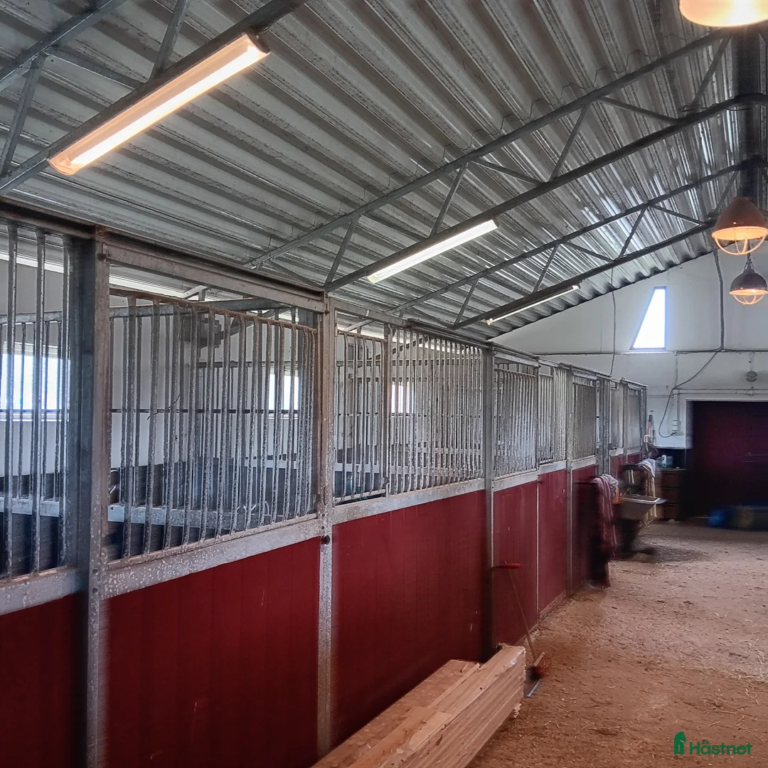 Stallinredning, stängsel & gård övrig utrustning till salu: Stallboxar 8st - Annons 3