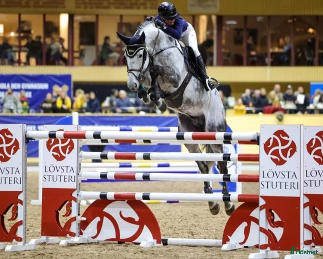 Galleribild {{count}}