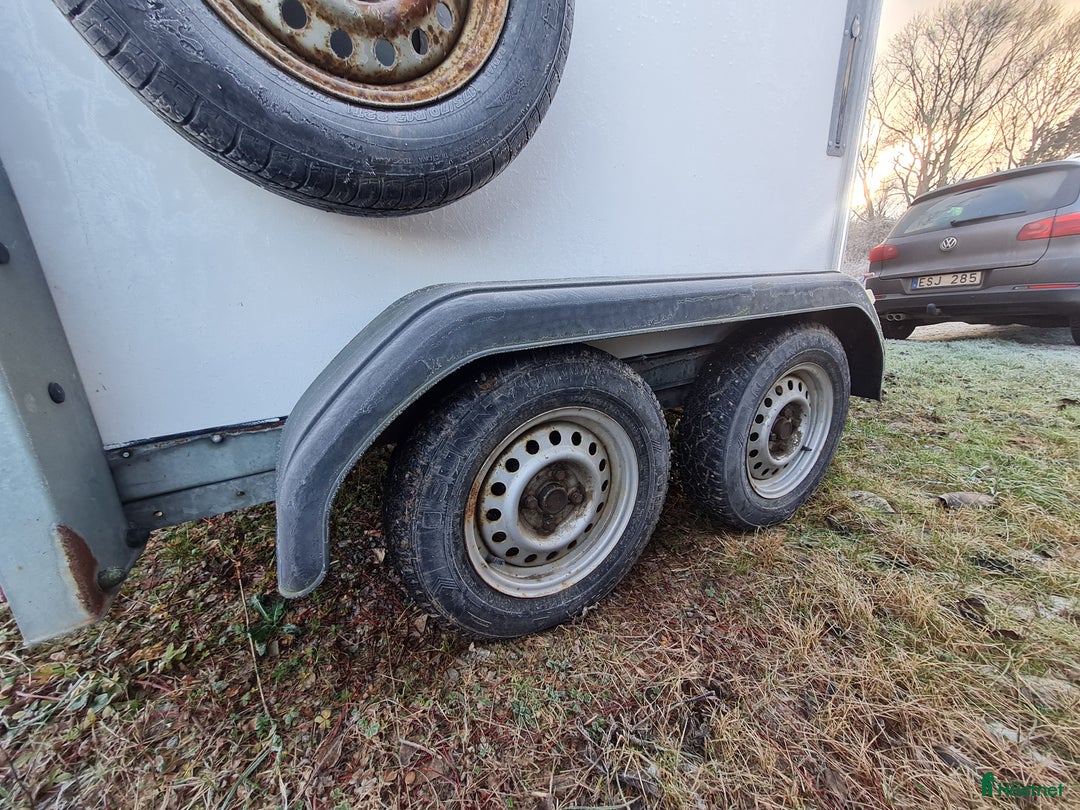 Hästtransporter  fordon & transport till salu: Hästtransport Thule  i Borensberg - Annons 2