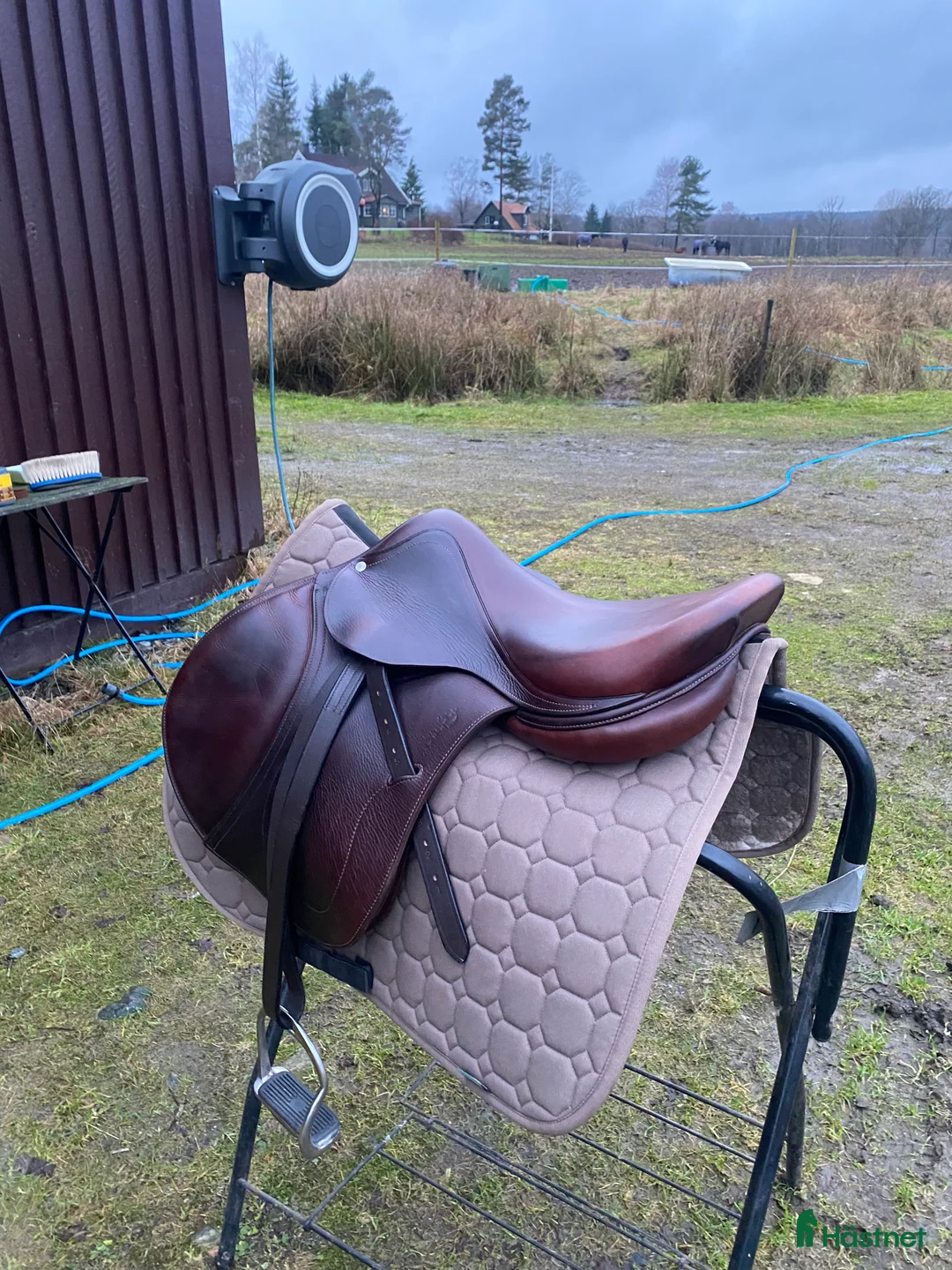 Sadlar hästutrustning till salu: Kvalitets sadel från Antares i Göteborg - Annons 4