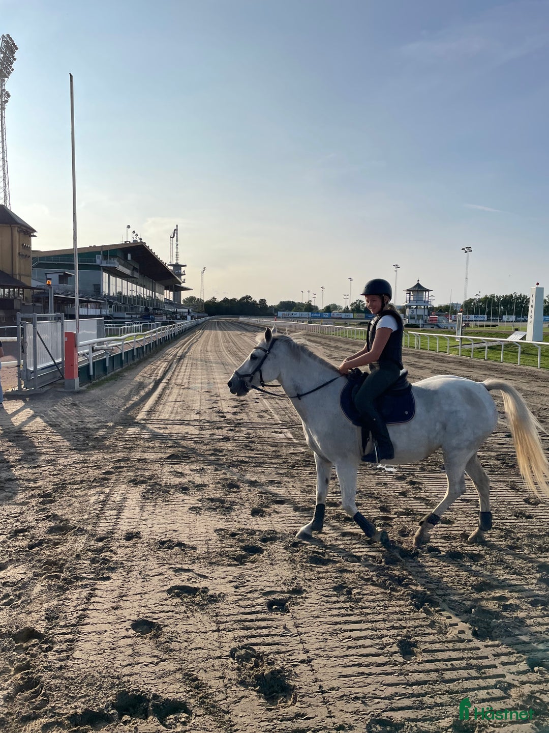 Hoppning hästar till salu: Snäll och rolig C-ponny i Hurva - Annons 7