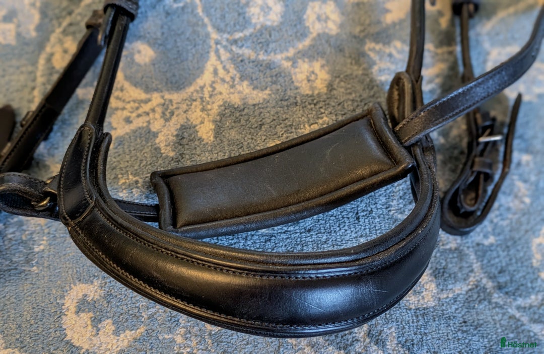 Träns hästutrustning till salu: PS träns GP + nosgrimma Paragon i Visby - Annons 7