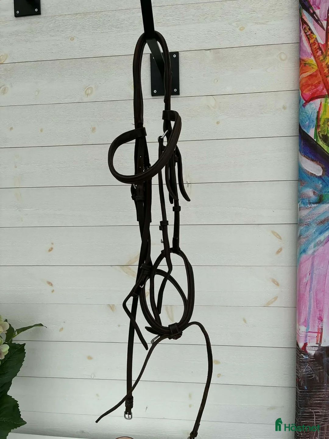 Träns hästutrustning till salu: CWD träns i brunt läder stl full  - Annons 2