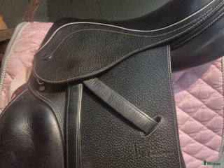 Sadlar hästutrustning till salu: Allround sadel i Viskafors - Annons 15