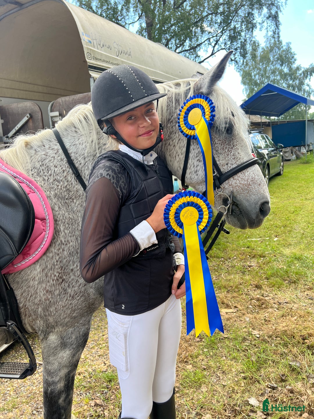 Hoppning hästar till salu: 🌟 Rosettplockande läromästare – Maxad C-ponny  i Huddinge - Annons 5