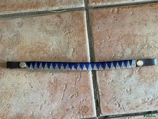 Träns hästutrustning till salu: Pannband i Uppsala - Annons 2