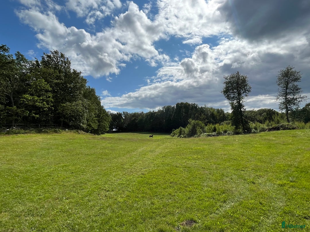  stallplats finnes: Stallplatser utanför Hässleholm! i Hörja - Annons 4