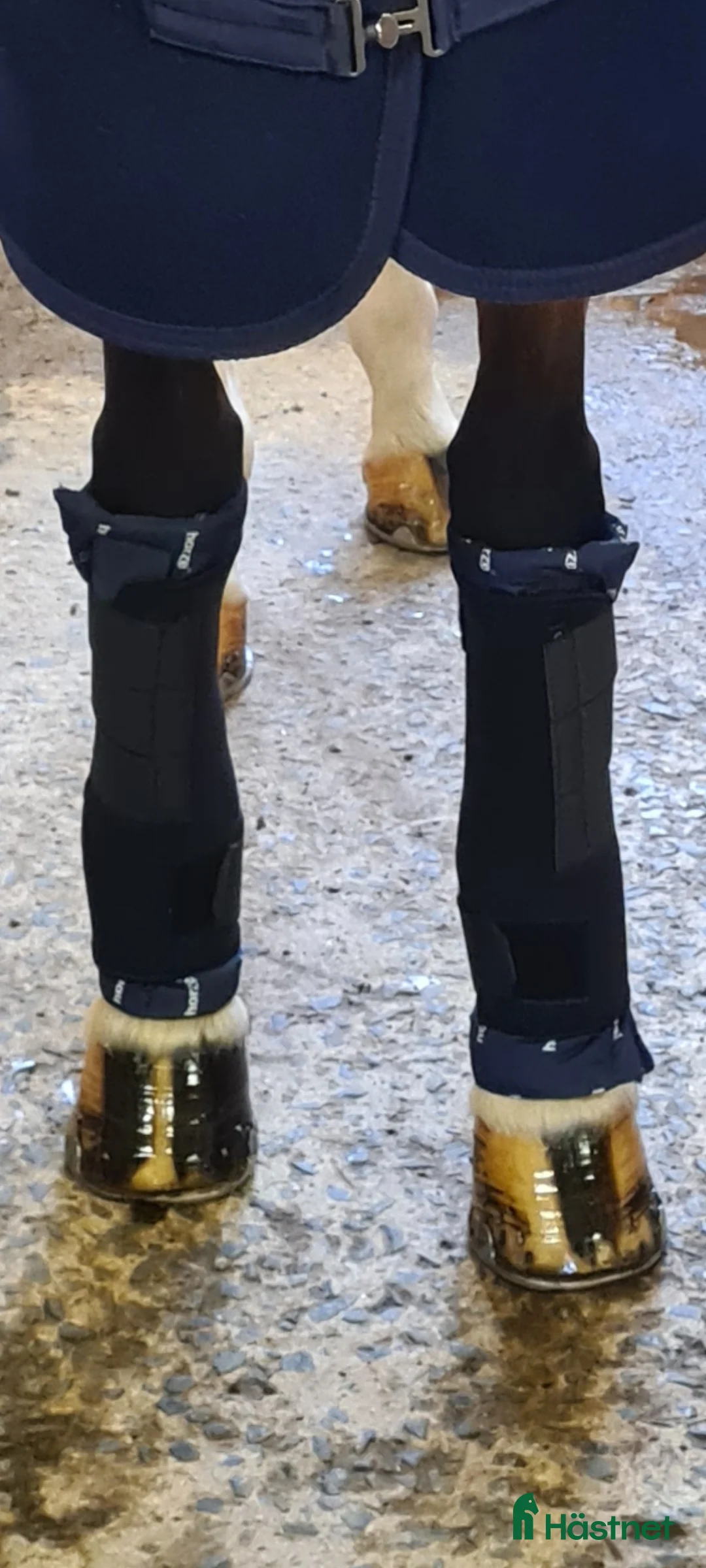 Benskydd hästutrustning till salu: Stallbandage Cob i Höör - Annons 2