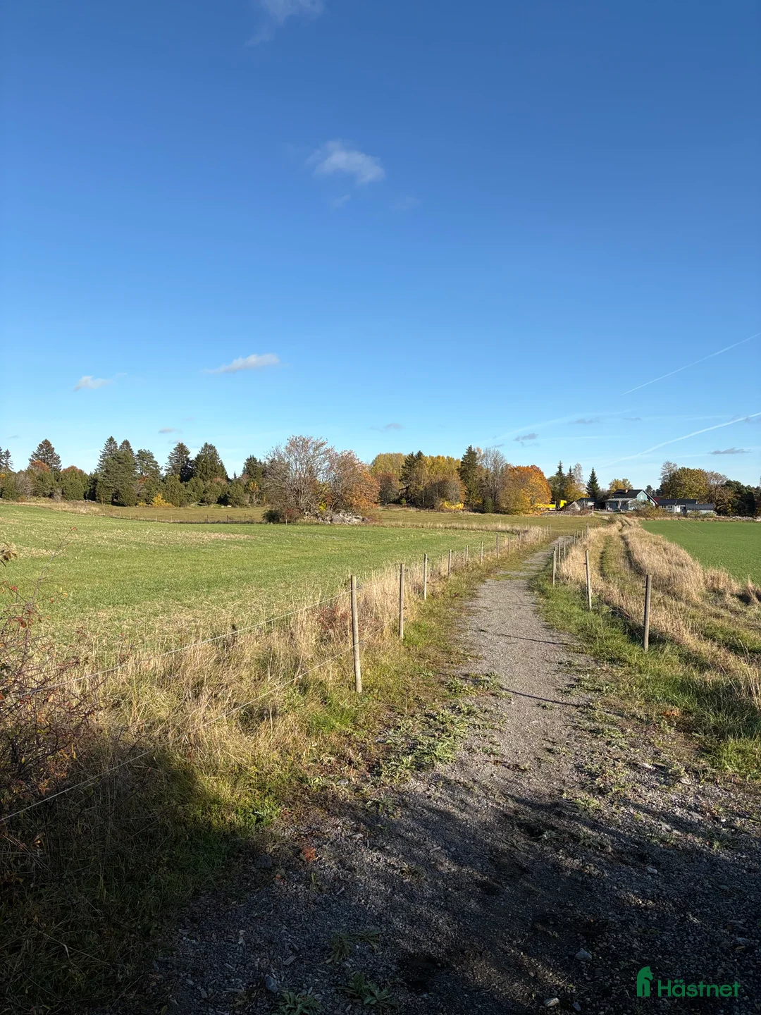  stallplats finnes: Ledig stallplats i Odensal/Berga i Märsta i Märsta - Annons 2