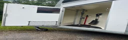 Hästtransporter  fordon & transport till salu: Böckmann PHA Duo RS 2012 – Välskött hästtransport - Annons 3