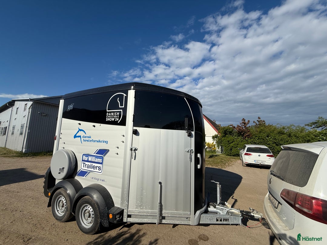 Hästtransporter  fordon & transport till salu: Sprillans ny Ifor Williams Trailer tävlingsvinst i Höllviken - Bild 2