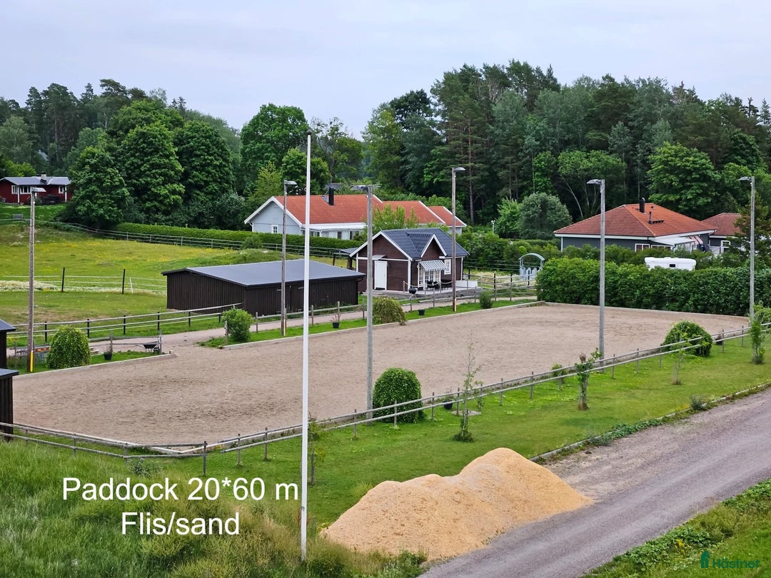  stallplats finnes: Tillfälle Ledig box på Tuthammarens Ridcenter  i Storvreta - Annons 2