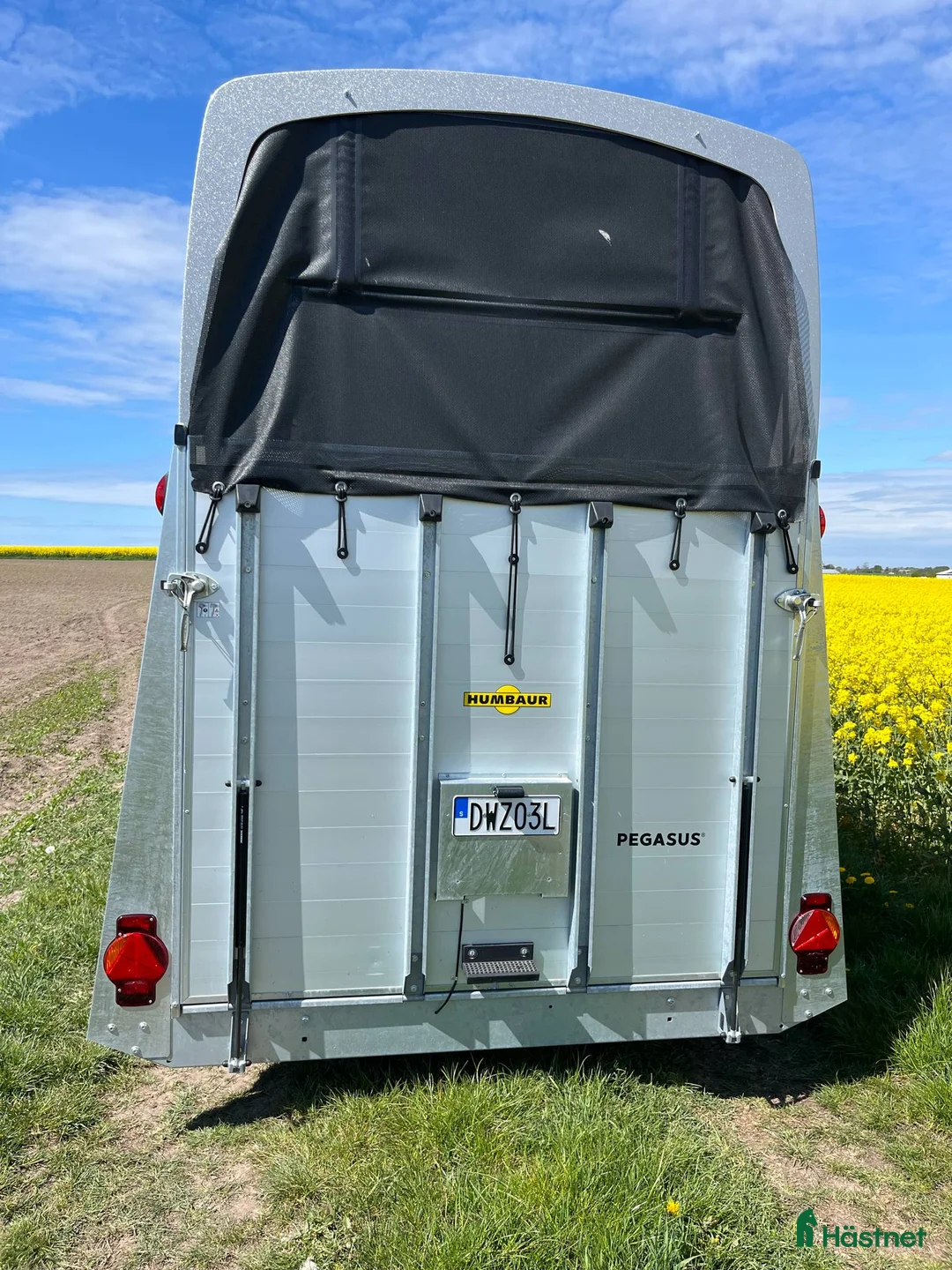 Hästtransporter  fordon & transport till salu: Ny - För dig med riktigt stora hästar i Löderup - Annons 6