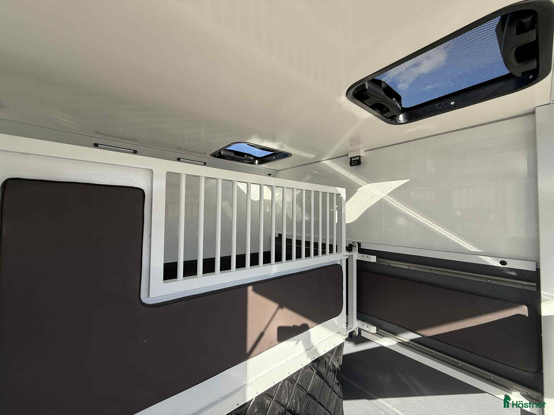 Hästlastbilar  fordon & transport till salu: KAMPANJ NORSIC HORSE 5 STUTERI *HÖG LASTVIKT* i Köping - Annons 8