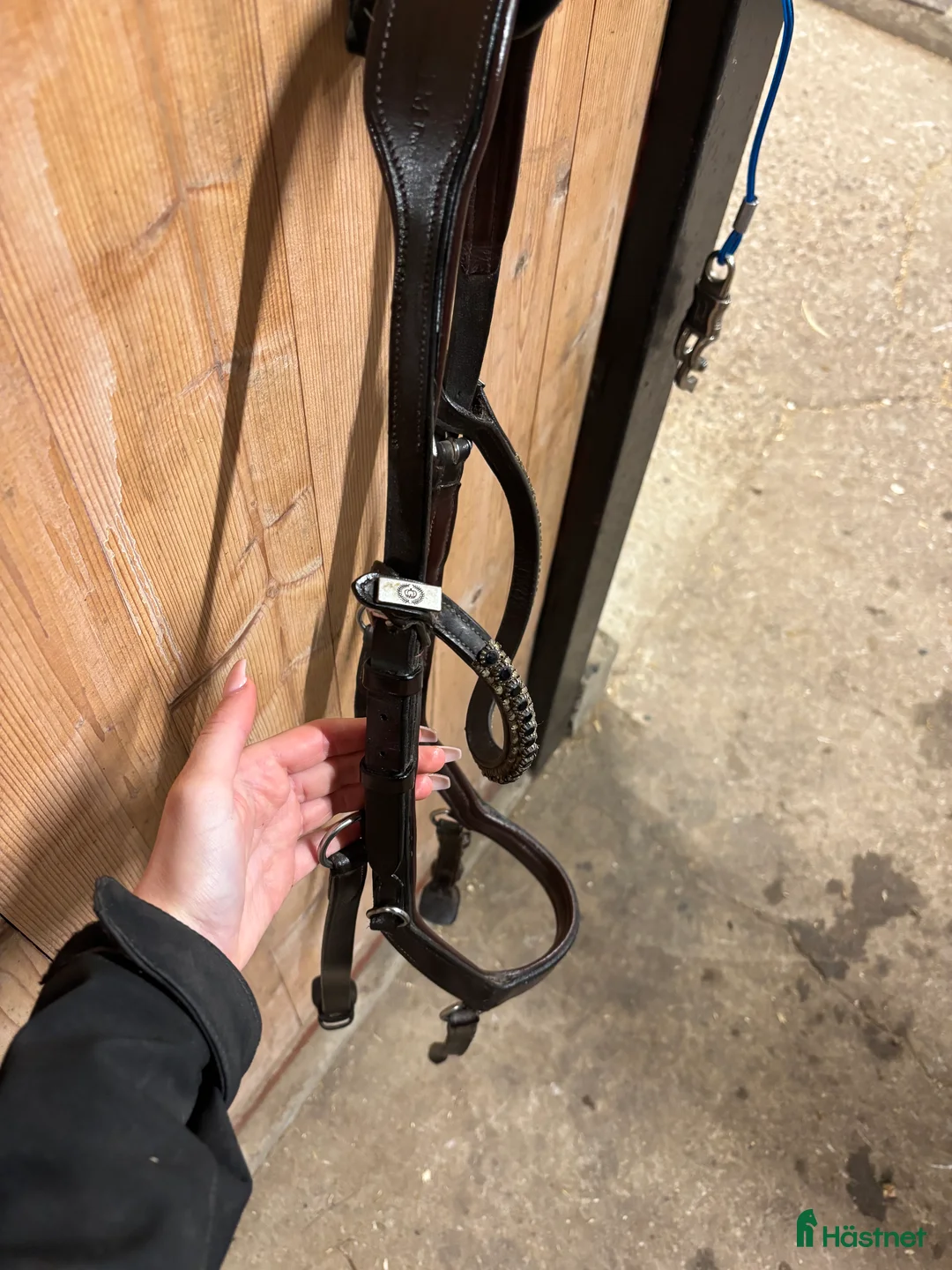 Träns hästutrustning till salu: Träns 🥰 - Annons 3