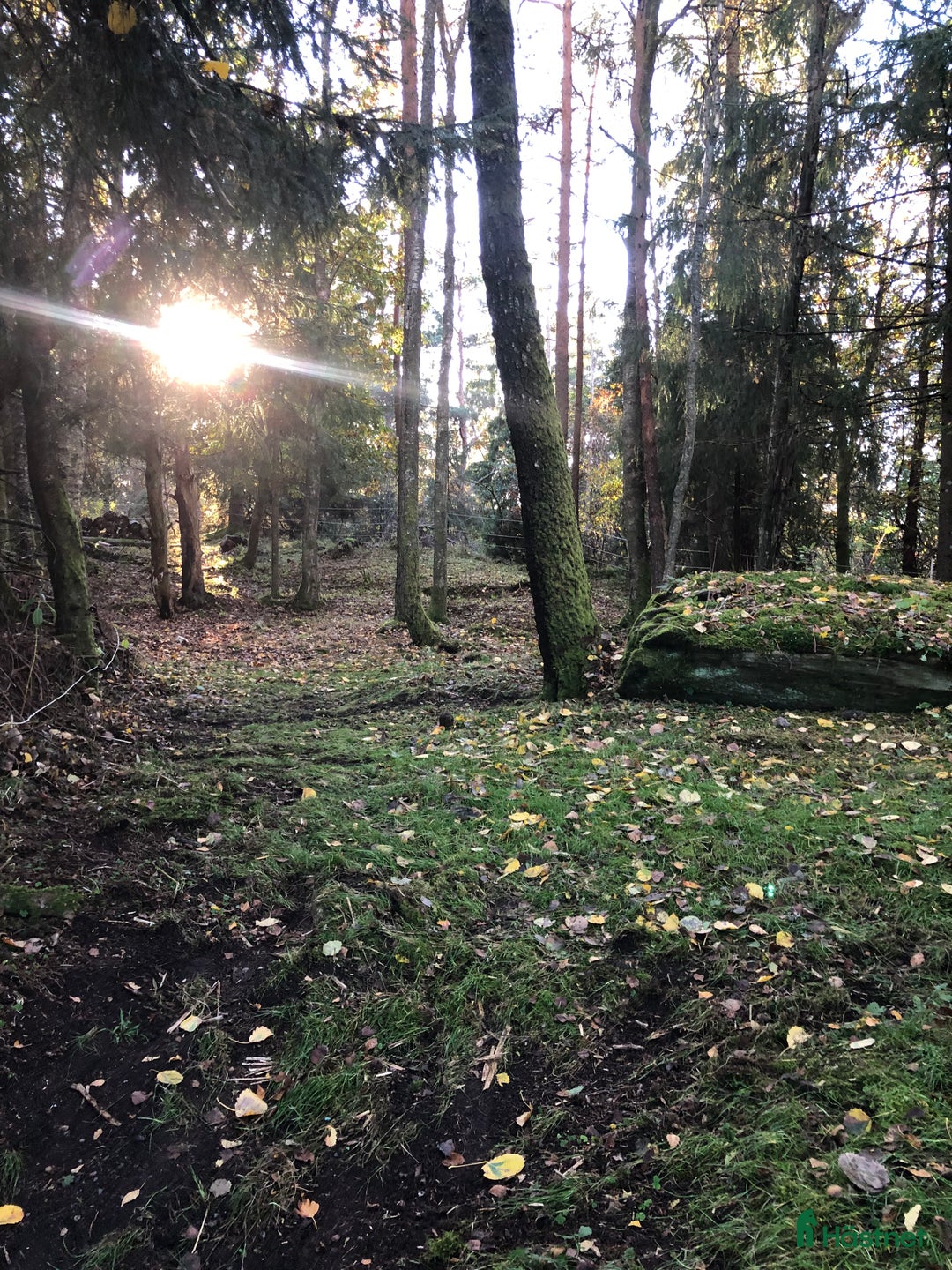  stallplats finnes: Stallplats uthyres till Islandshäst / ponny  i Mölnlycke - Annons 2