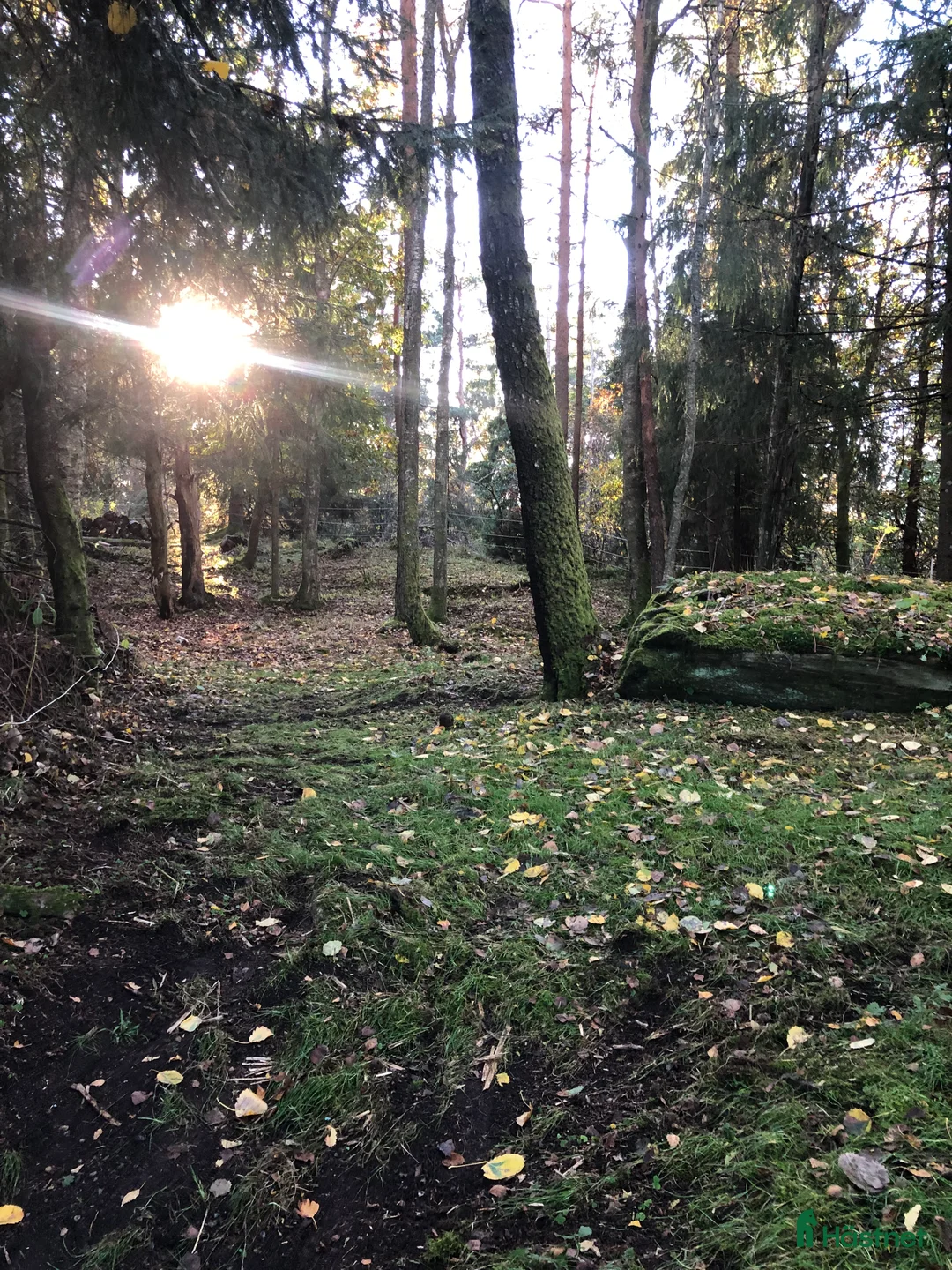  stallplats finnes: Stallplats uthyres till Islandshäst / ponny  i Mölnlycke - Annons 2