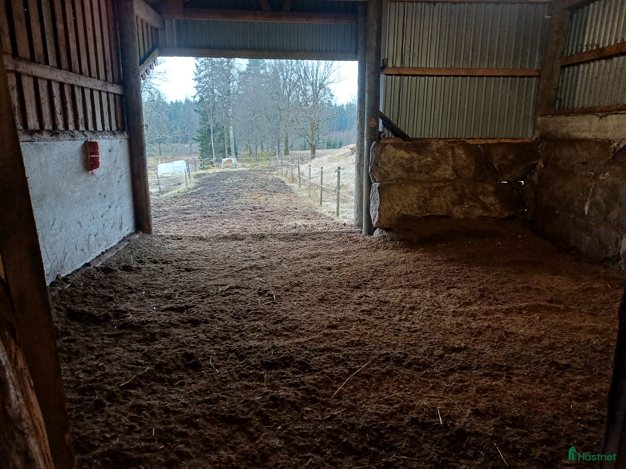  hästar Ny familjemedlem sökes! Sto/valack - Annons 2