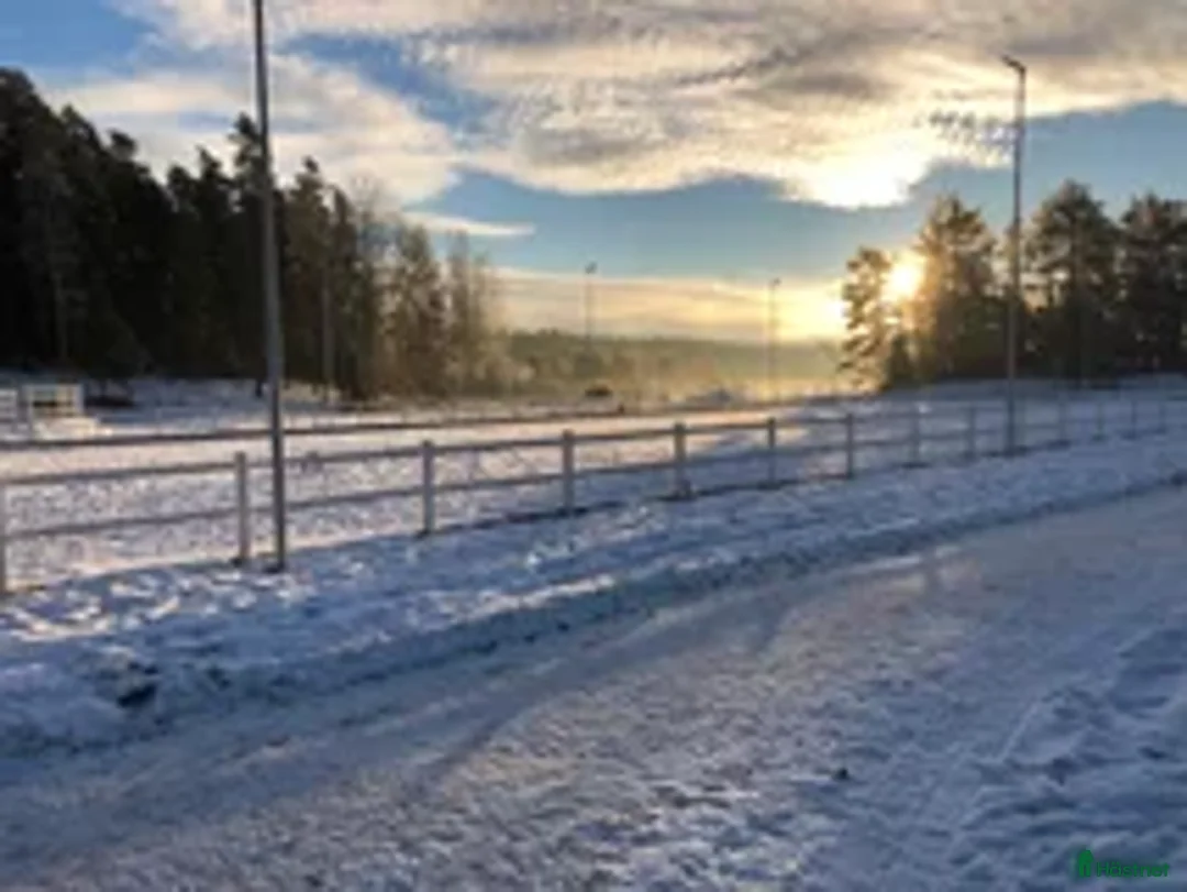  stallplats finnes: Ett par platser lediga på Torsholma 29! i Vallentuna - Annons 4