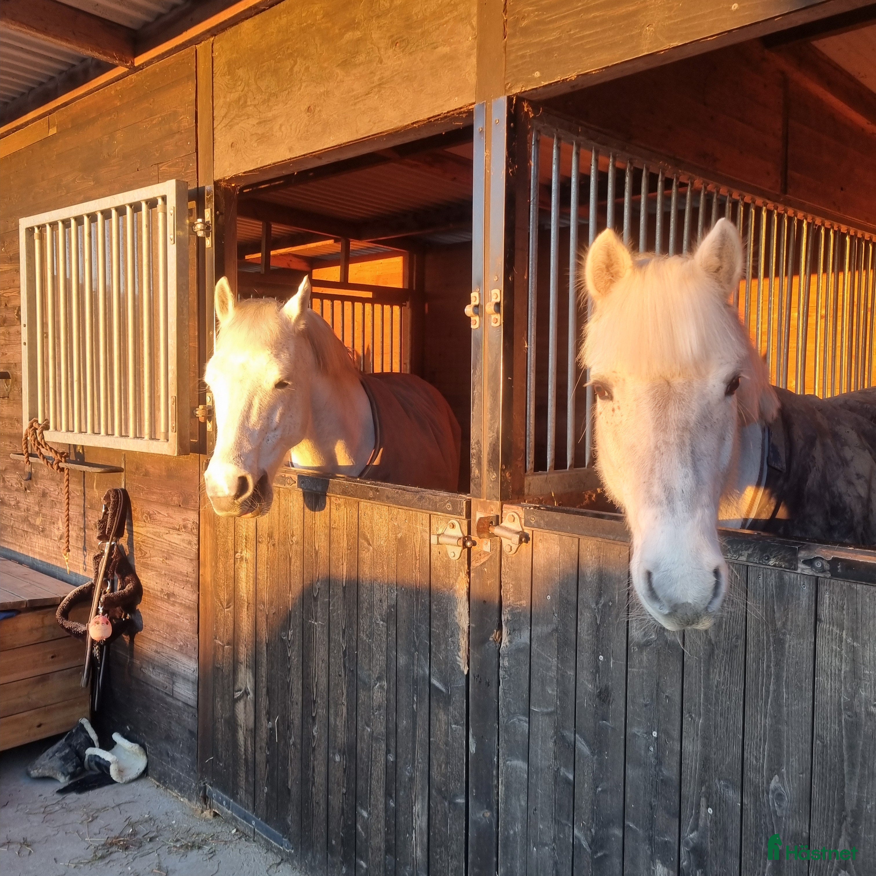  stallplats 3 lediga uteboxar i Bålsta - Annons 2