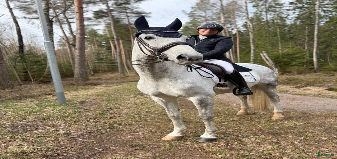 Galleribild {{count}}