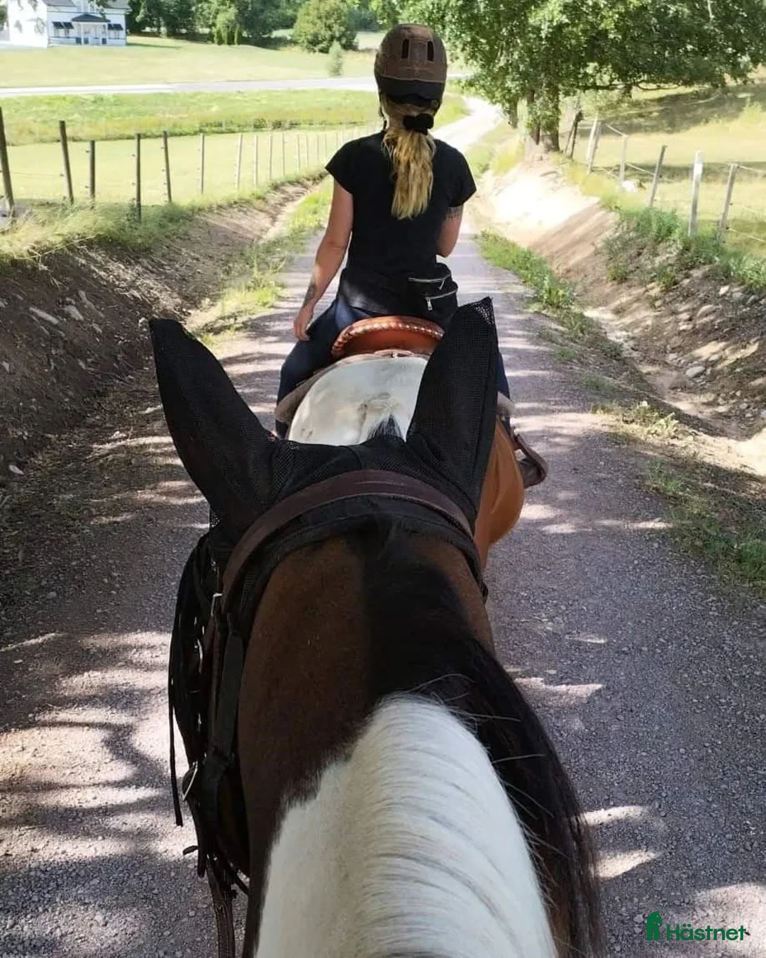  stallplats finnes: Stallplats i lösdriftsstall i Mjölby - Annons 1