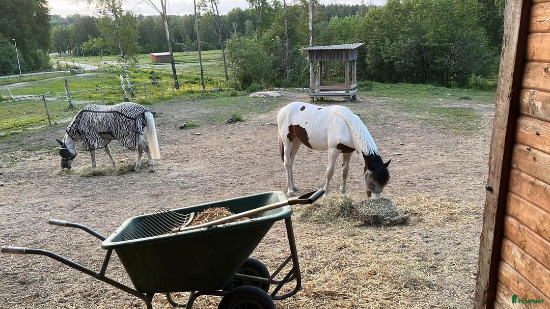  stallplats finnes: Uteboxar i forshaga i Forshaga - Annons 7