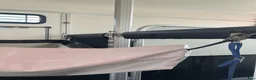 Hästtransporter  fordon & transport till salu: Umesläp B60 momsat - Annons 7