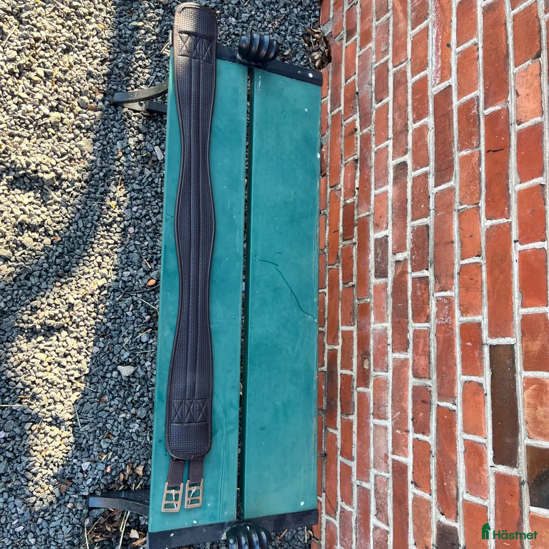 Sadeltillbehör hästutrustning till salu: Brun sadelgjord- 110cm - Annons 4