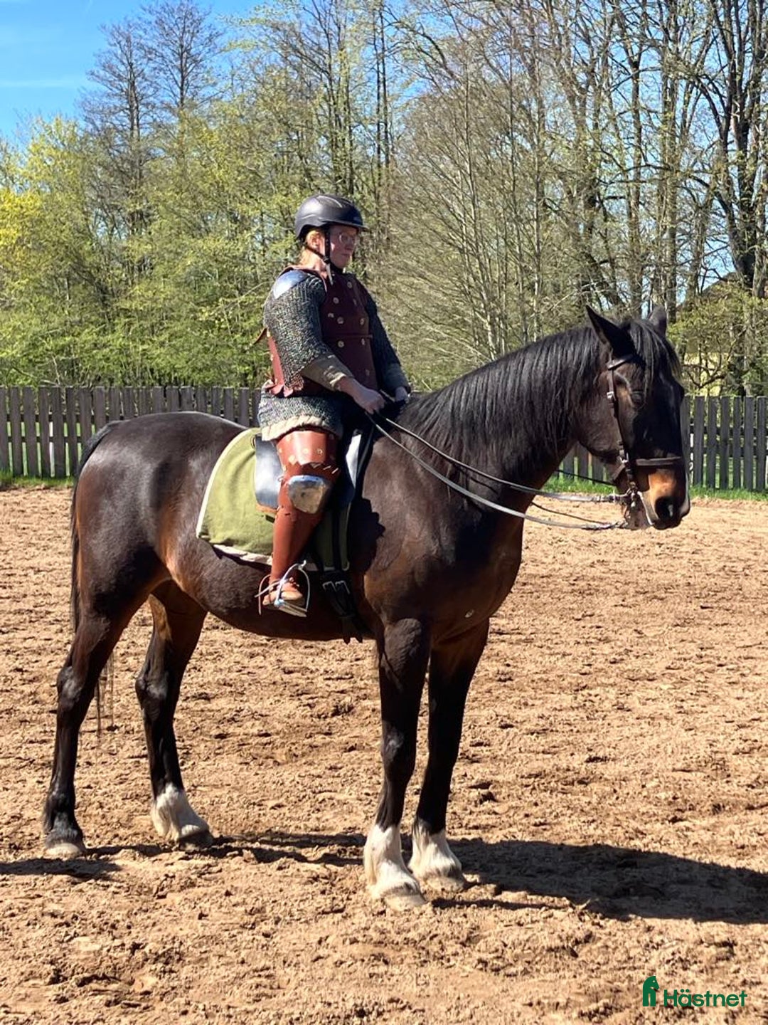 Allround hästar till salu: Vår bästa vän lånas ut på foder i Garphyttan - Annons 5