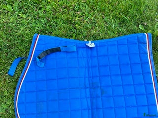 Schabrak & Vojlockar hästutrustning till salu: Mias schabrak hopp i Sala - Annons 1