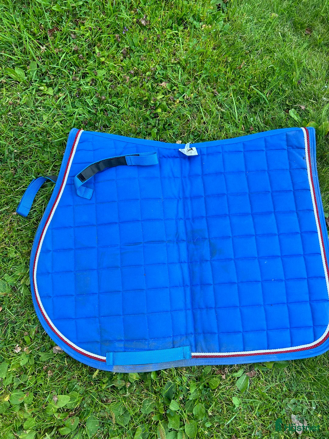 Schabrak & Vojlockar hästutrustning till salu: Mias schabrak hopp - Annons 1