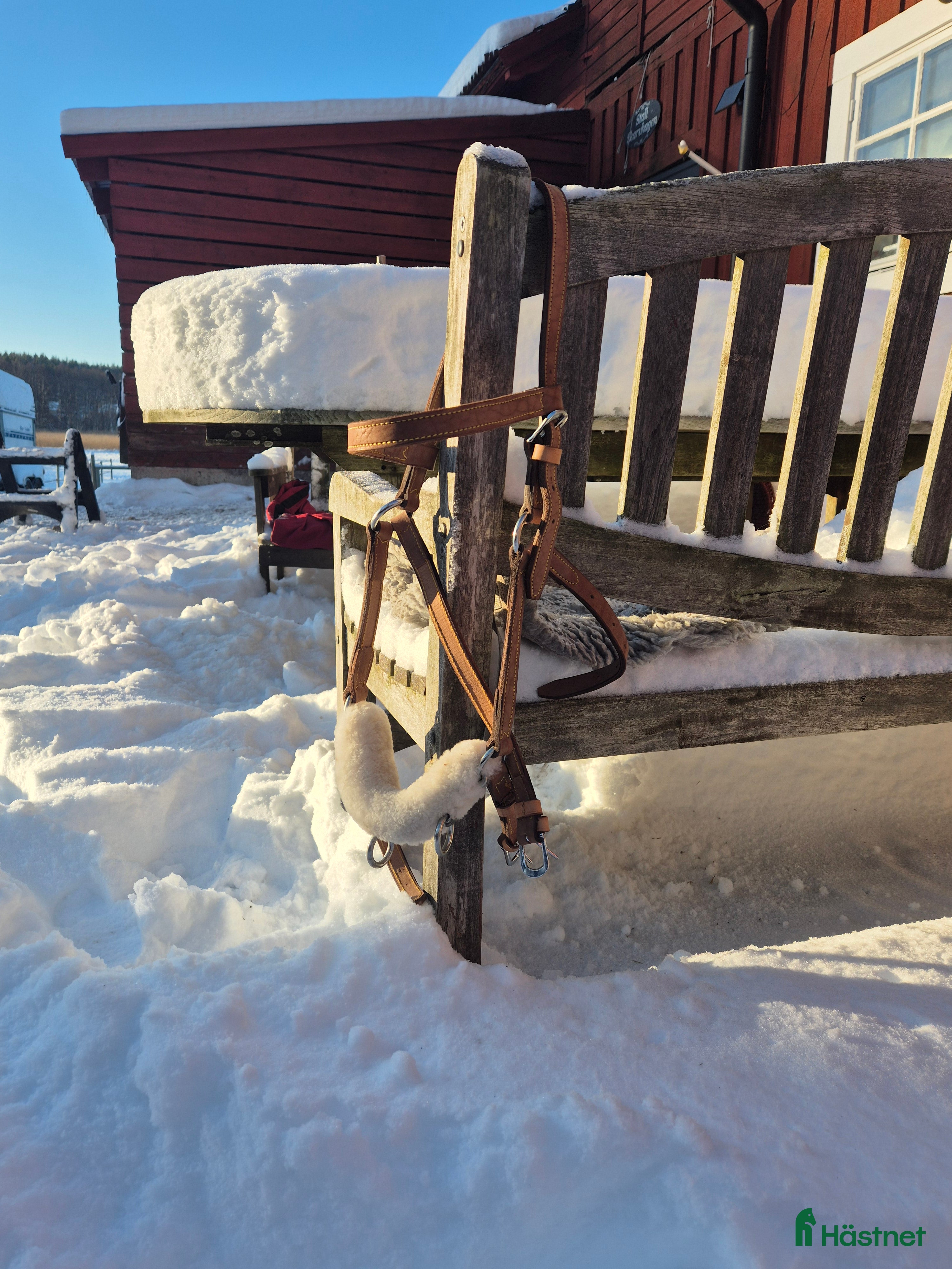 Övrig Hästutrustning hästutrustning till salu: Kapson med fast järn  i Upplands Väsby - Annons 15