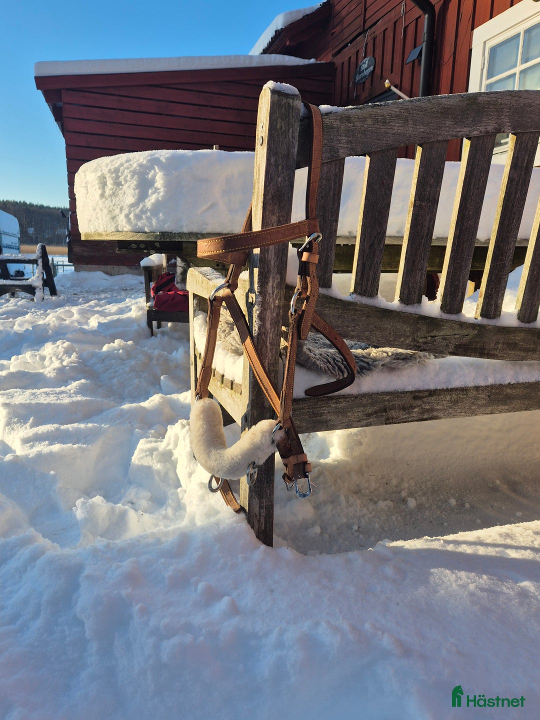 Övrig Hästutrustning hästutrustning till salu: Kapson med fast järn  i Upplands Väsby - Annons 1