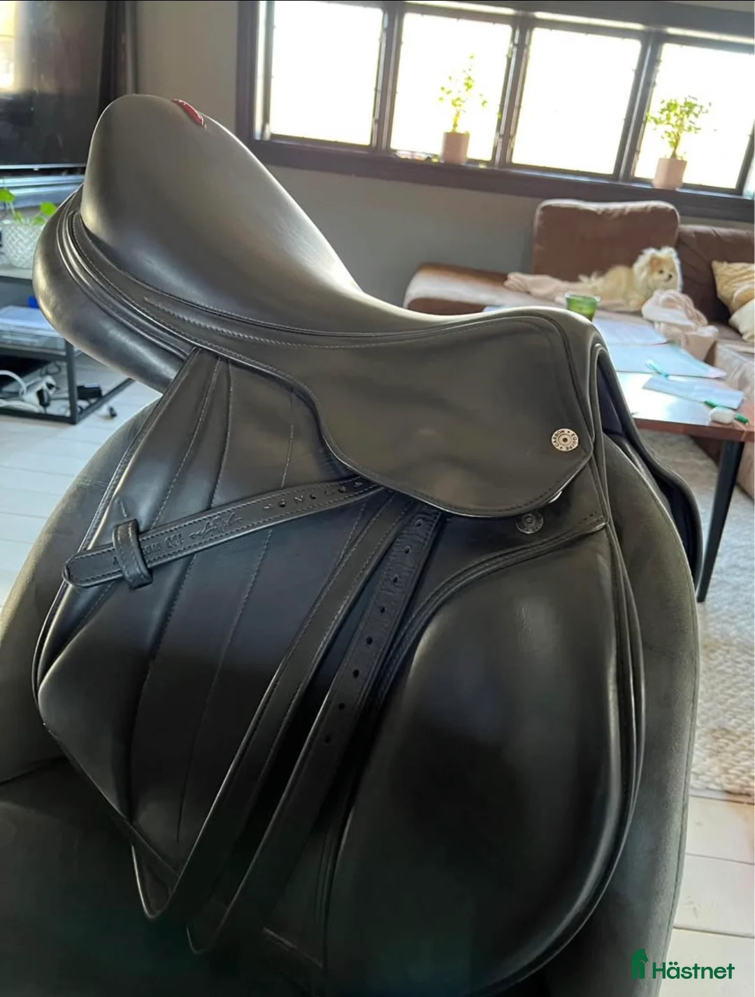 Sadlar hästutrustning till salu: Equipe Special one I mycket fint skick i Onsala - Annons 2