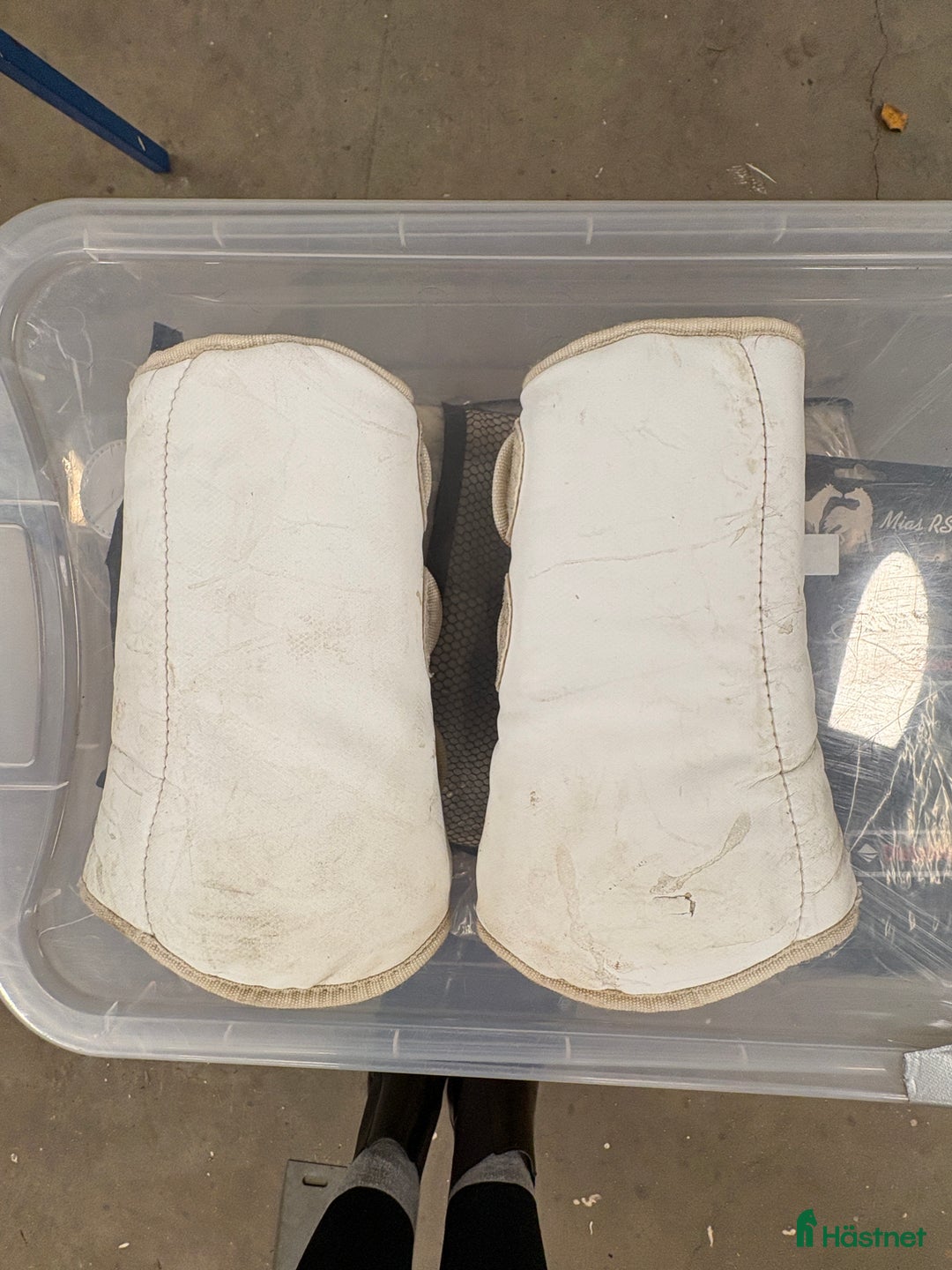 Benskydd hästutrustning till salu: Catago vita damasker i Täby - Annons 2