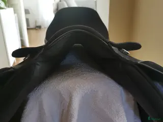 Sadlar hästutrustning Thorowgood Allround Cob - Annons 15