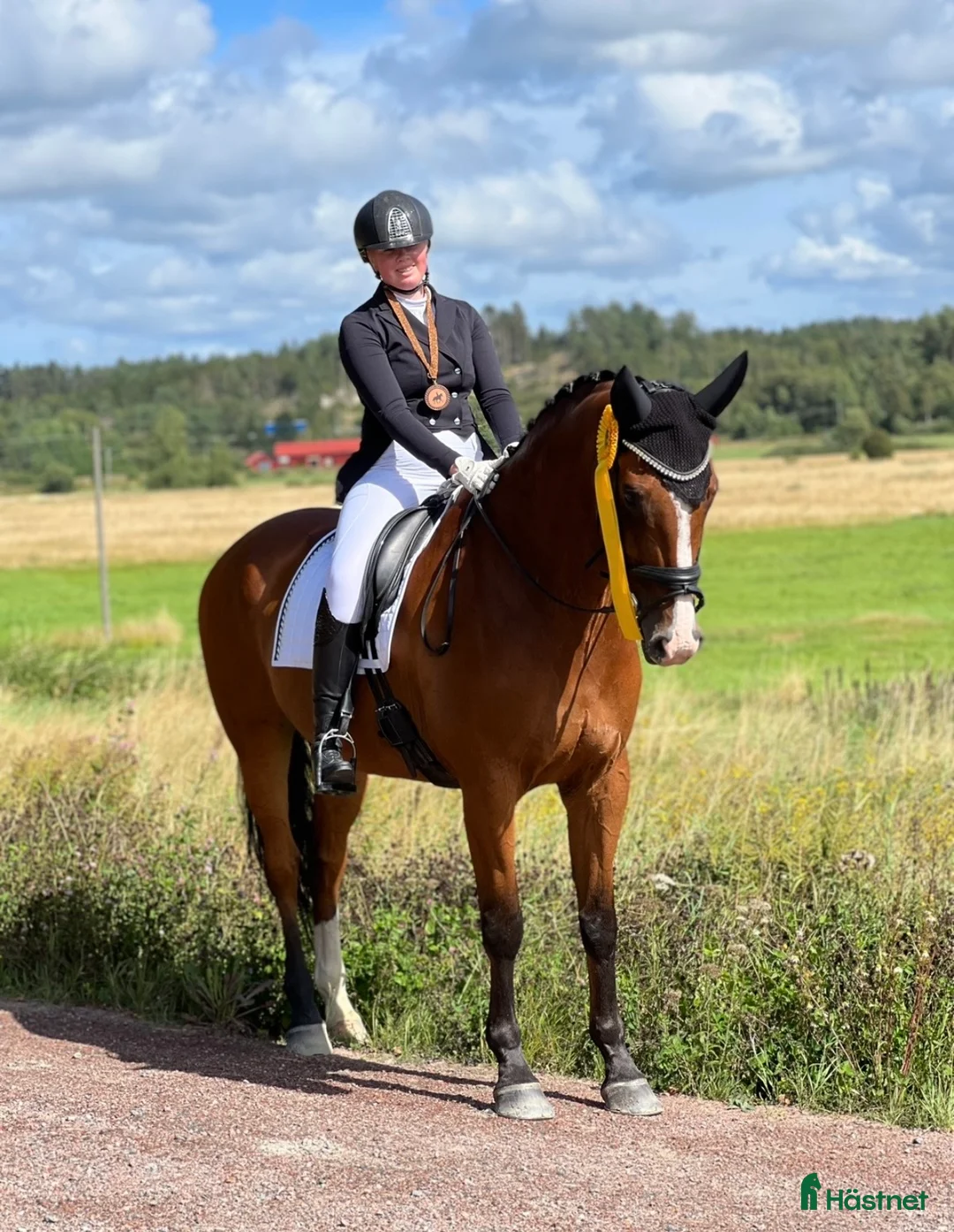 Dressyr hästar till salu: Reserverad! Snäll och okomplicerad läromästare - Annons 4