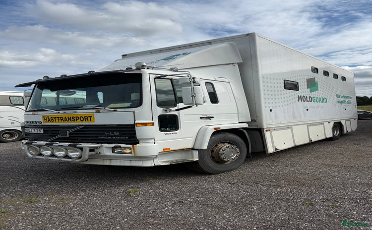 Hästlastbilar  fordon & transport till salu i Blentarp - Annons 7