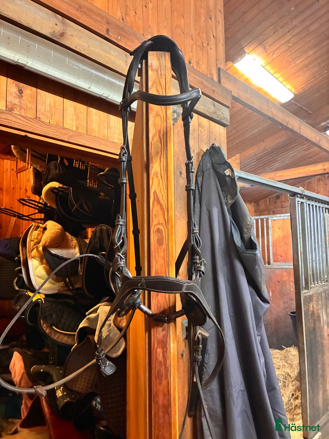 Träns hästutrustning till salu: Träns Ps of sweden  - Annons 2