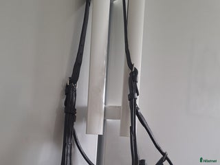 Träns hästutrustning till salu: Ridkapson i Högsby - Annons 1